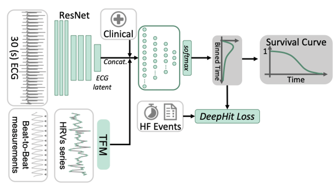 Multi-modal Heart Failure Risk Estimation based on Short ECG and Sampled Long-Term HRV Multi-modal Heart Failure Risk Estimation based on Short ECG and Sampled Long-Term HRV
